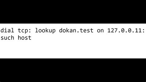 dial tcp 127.0.0.11 53.